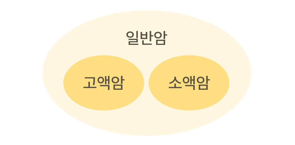 암 관련 특약 이미지