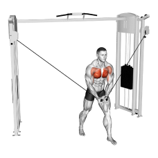 케이블 스탠딩 플라이