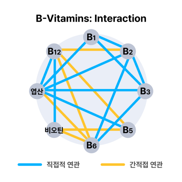 비타민B 상호작용
