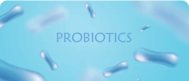 프로바이오틱스