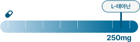L-테아닌 일일 섭취량 250mg 그래프