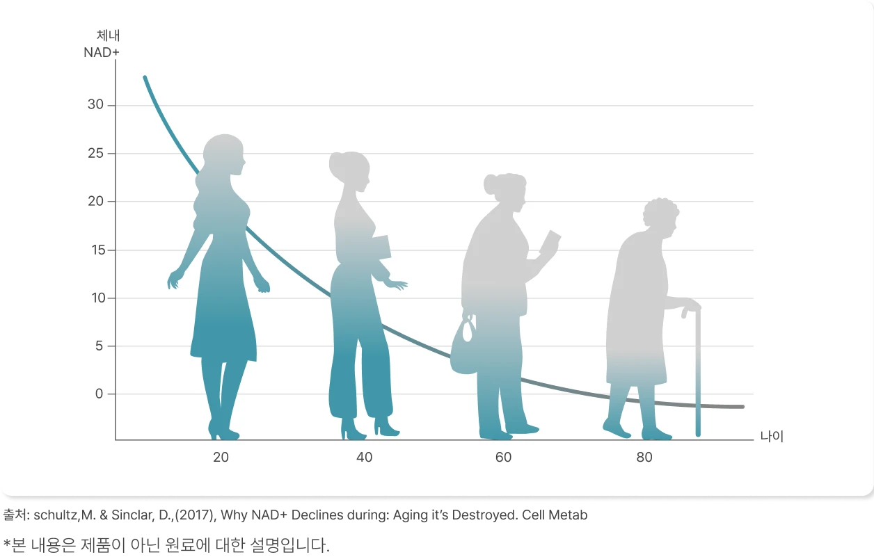 NAD+ 수치 감소